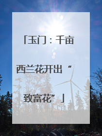 玉门：千亩西兰花开出“致富花”