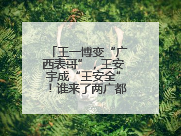 王一博变“广西表哥”，王安宇成“王安全”！谁来了两广都得“腌入味”