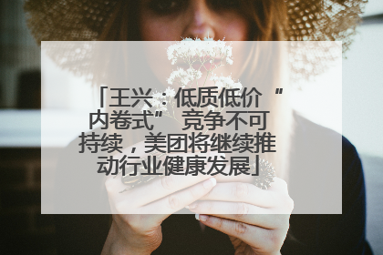 王兴：低质低价“内卷式” 竞争不可持续，美团将继续推动行业健康发展