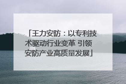 王力安防：以专利技术驱动行业变革 引领安防产业高质量发展