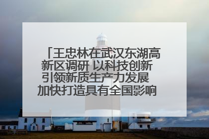 王忠林在武汉东湖高新区调研 以科技创新引领新质生产力发展 加快打造具有全国影响力的科技创新高地