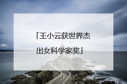 王小云获世界杰出女科学家奖