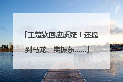王楚钦回应质疑！还提到马龙、樊振东……