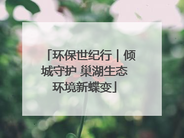 环保世纪行｜倾城守护 巢湖生态环境新蝶变