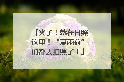 火了！就在日照这里！“夏雨荷”们都去拍照了！