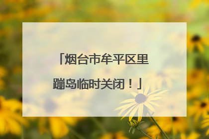 烟台市牟平区里蹦岛临时关闭！
