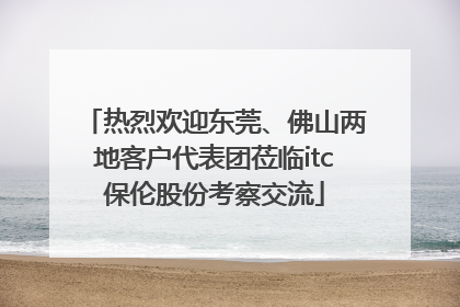 热烈欢迎东莞、佛山两地客户代表团莅临itc保伦股份考察交流