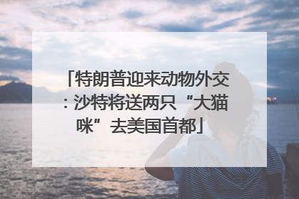 特朗普迎来动物外交：沙特将送两只“大猫咪”去美国首都