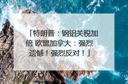 特朗普：钢铝关税加倍 欧盟加拿大：强烈遗憾！强烈反对！