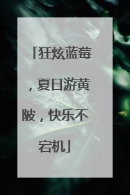 狂炫蓝莓，夏日游黄陂，快乐不宕机