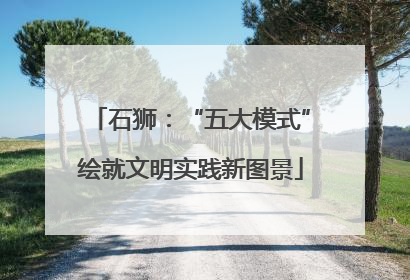 石狮：“五大模式”绘就文明实践新图景