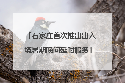 石家庄首次推出出入境暑期晚间延时服务