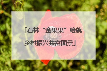 石林“金果果”绘就乡村振兴共富图景