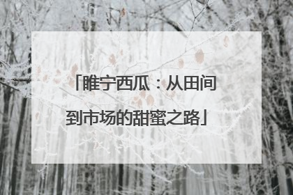 睢宁西瓜：从田间到市场的甜蜜之路