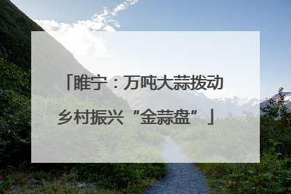睢宁：万吨大蒜拨动乡村振兴“金蒜盘”