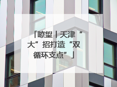 瞭望丨天津“大”招打造“双循环支点”