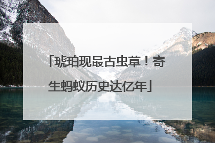琥珀现最古虫草！寄生蚂蚁历史达亿年