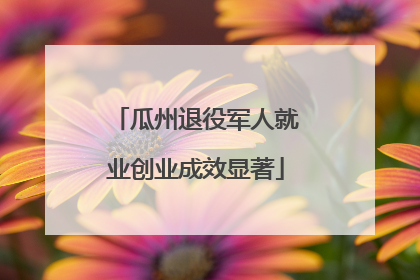 瓜州退役军人就业创业成效显著