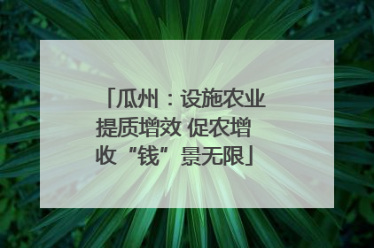 瓜州：设施农业提质增效 促农增收“钱”景无限