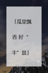 瓜果飘香 好“丰”景