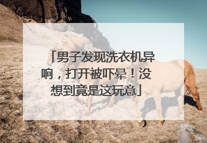 男子发现洗衣机异响，打开被吓晕！没想到竟是这玩意