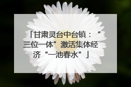 甘肃灵台中台镇：“三位一体”激活集体经济“一池春水”
