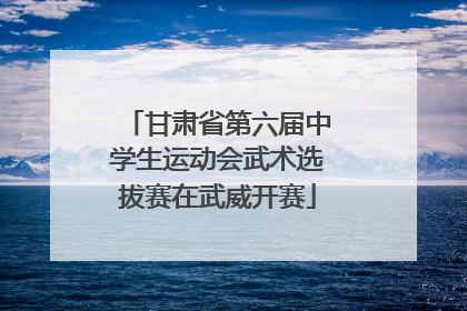 甘肃省第六届中学生运动会武术选拔赛在武威开赛