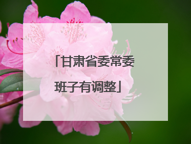 甘肃省委常委班子有调整