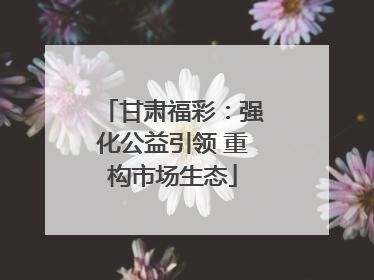甘肃福彩：强化公益引领 重构市场生态