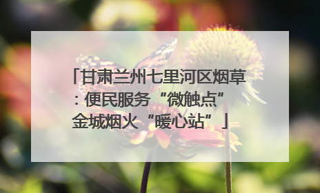 甘肃兰州七里河区烟草：便民服务“微触点” 金城烟火“暖心站”