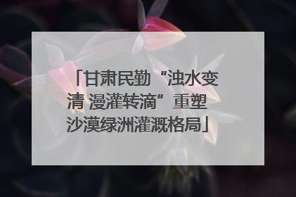 甘肃民勤“浊水变清 漫灌转滴”重塑沙漠绿洲灌溉格局