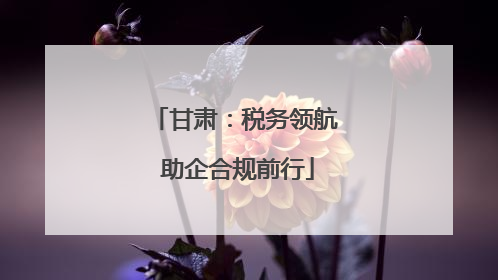 甘肃：税务领航 助企合规前行