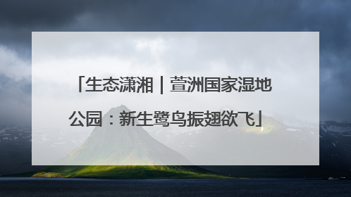 生态潇湘｜萱洲国家湿地公园：新生鹭鸟振翅欲飞
