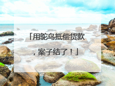 用鸵鸟抵偿货款，案子结了！