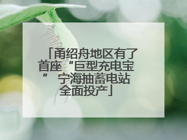 甬绍舟地区有了首座“巨型充电宝” 宁海抽蓄电站全面投产