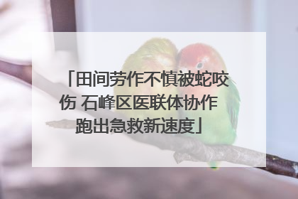田间劳作不慎被蛇咬伤 石峰区医联体协作跑出急救新速度