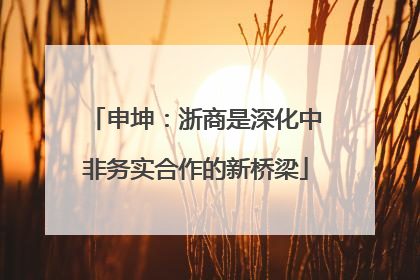 申坤：浙商是深化中非务实合作的新桥梁