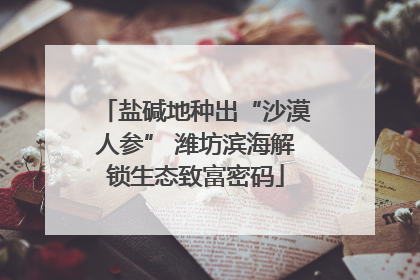 盐碱地种出“沙漠人参” 潍坊滨海解锁生态致富密码