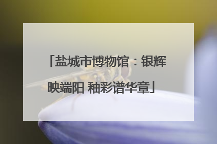盐城市博物馆：银辉映端阳 釉彩谱华章