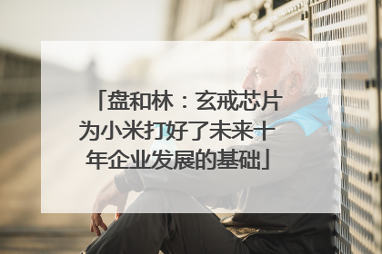 盘和林：玄戒芯片为小米打好了未来十年企业发展的基础