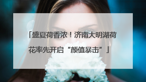 盛夏荷香浓！济南大明湖荷花率先开启“颜值暴击”
