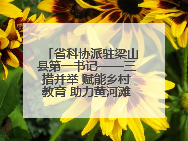 省科协派驻梁山县第一书记——三措并举 赋能乡村教育 助力黄河滩娃健康成长