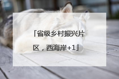 省级乡村振兴片区，西海岸+1
