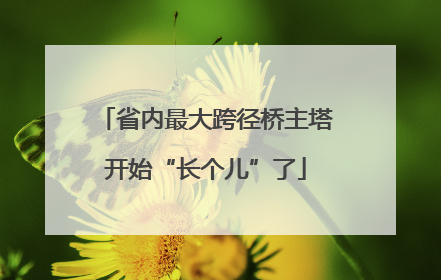 省内最大跨径桥主塔开始“长个儿”了