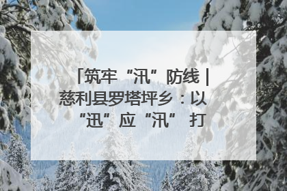 筑牢“汛”防线｜慈利县罗塔坪乡：以“迅”应“汛” 打赢暴雨防御战