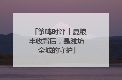 筝鸣时评丨夏粮丰收背后，是潍坊全城的守护