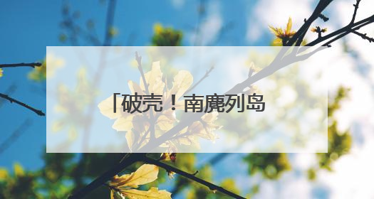 破壳！南麂列岛“神话之鸟”孵出今年首只小雏鸟