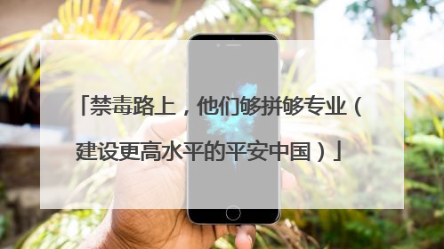禁毒路上，他们够拼够专业（建设更高水平的平安中国）