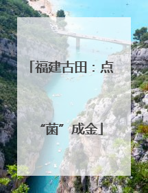 福建古田：点“菌”成金