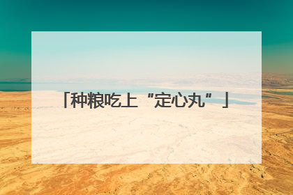 种粮吃上“定心丸”
